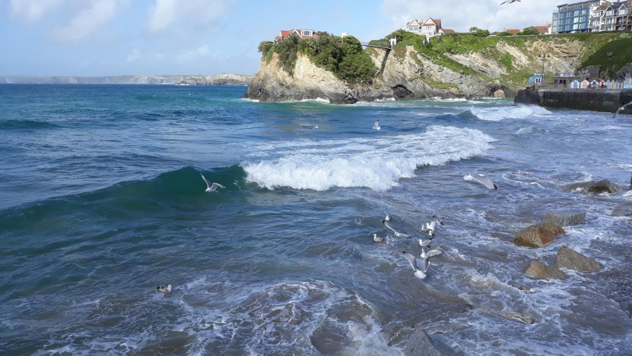 Hostel Blue Newquay *